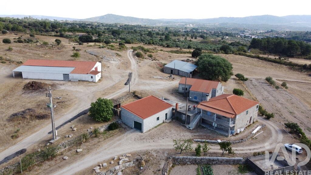 Farm, Ranch or Equestrian in Lajeosa do Mondego - Image 2