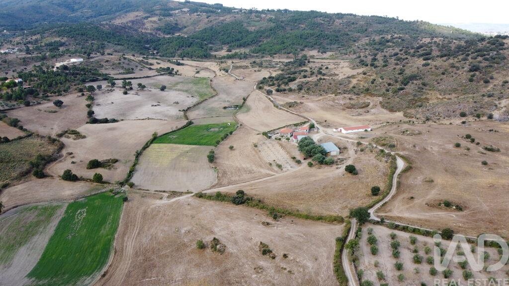 Farm, Ranch or Equestrian in Lajeosa do Mondego - Image 3
