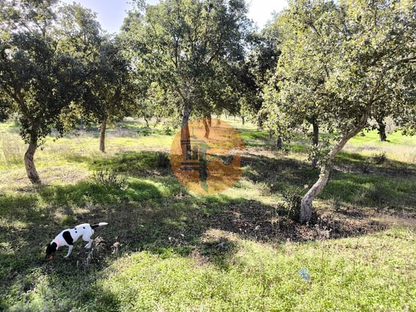 Land in Castro Marim - view 1