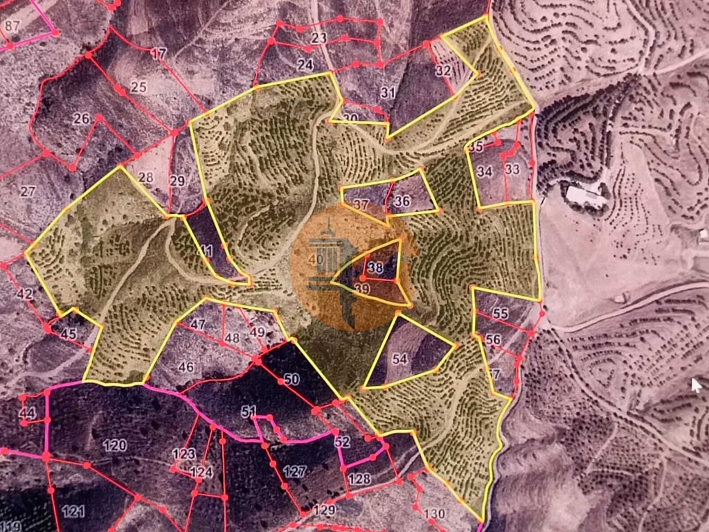 Land in Alcoutim - Image 3