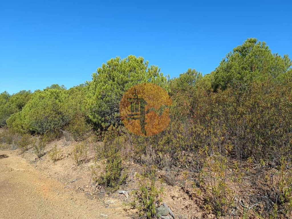 Land in Alcoutim - Image 2