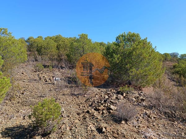 Land in Alcoutim - view 1