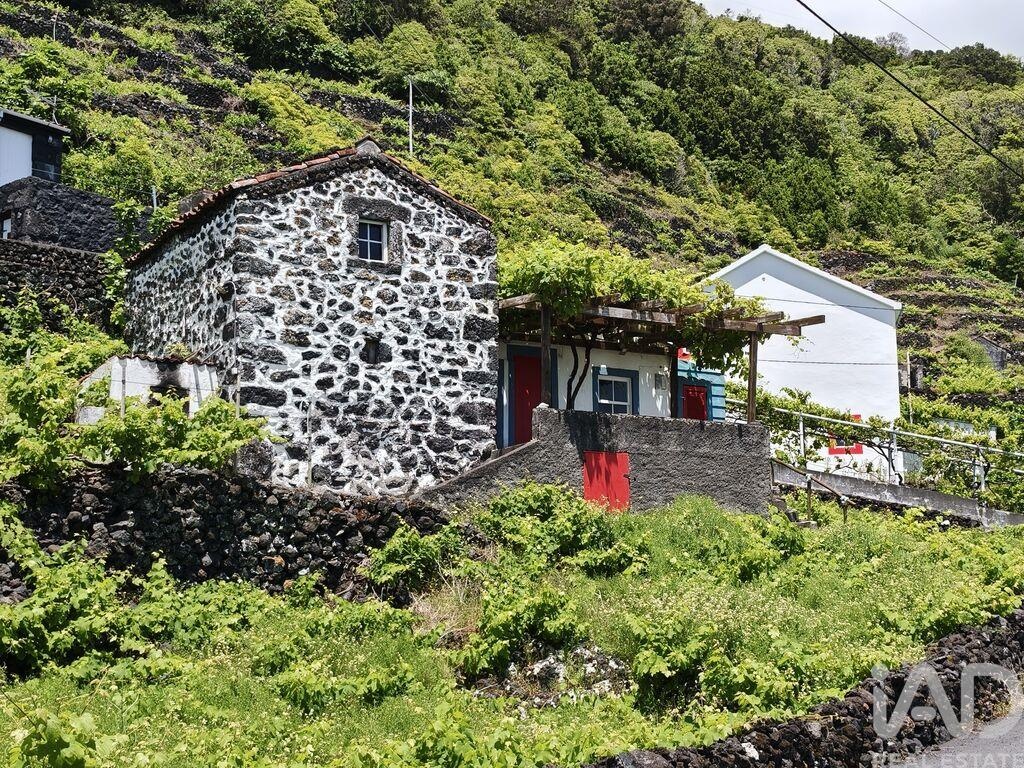 Land in Ribeiras - Image 3