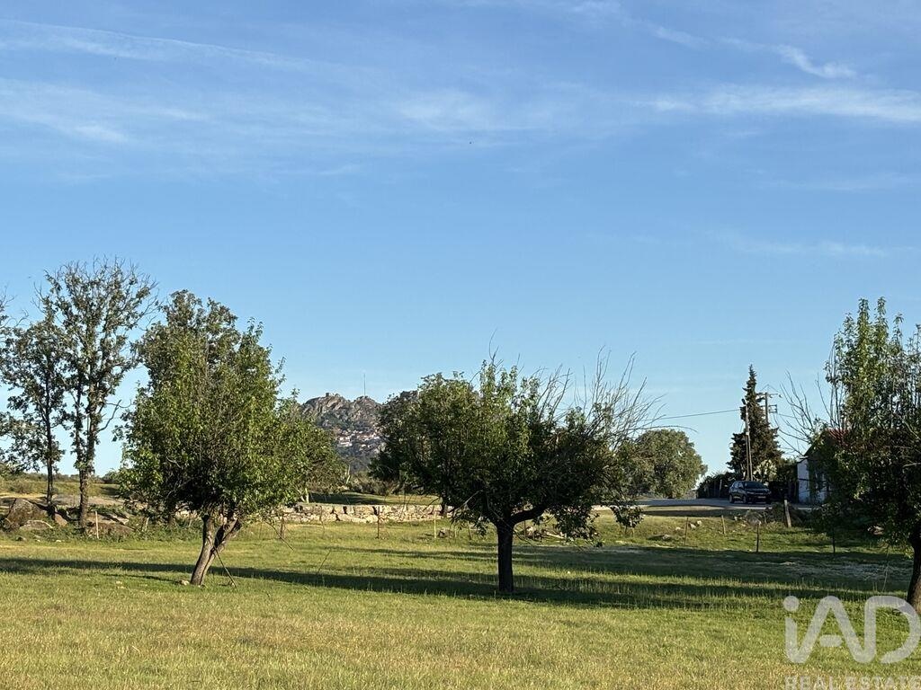 Land in Monsanto - Image 3