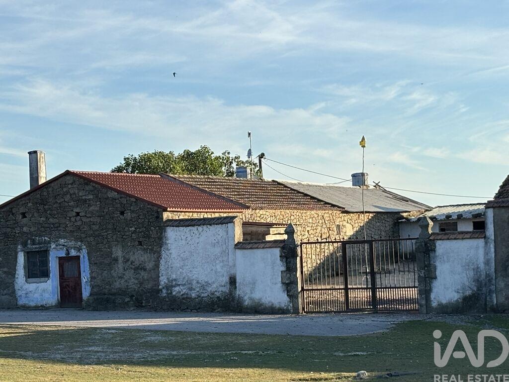 Land in Monsanto - Image 2