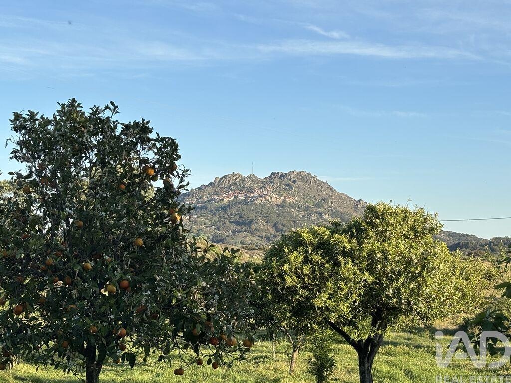 Land in Monsanto