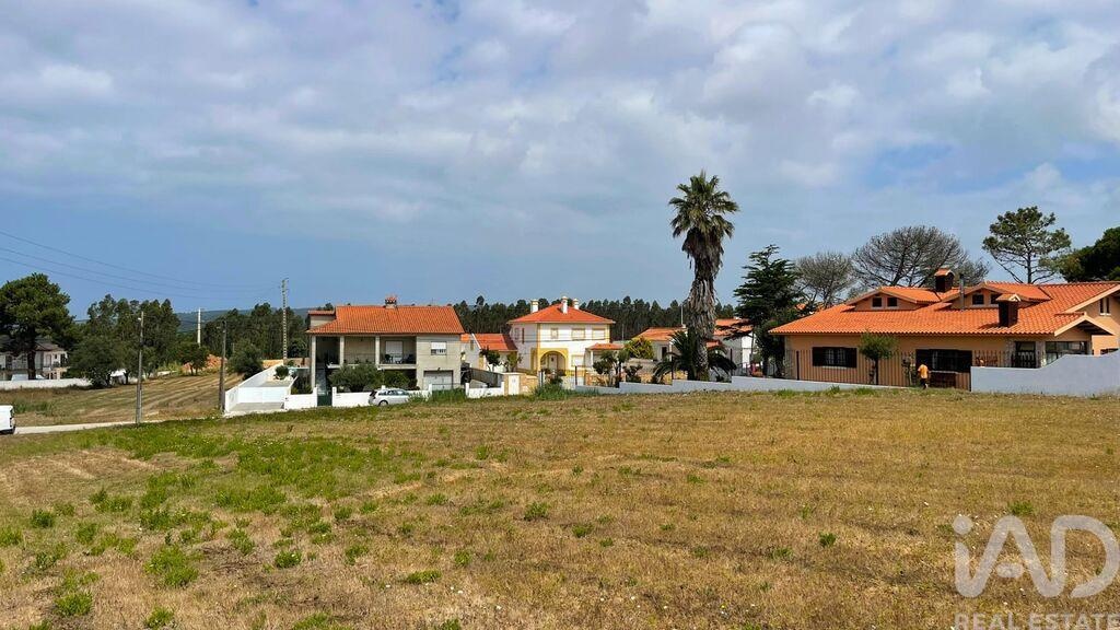 Land in Nadadouro - Image 2