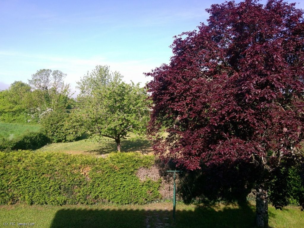 House in Villefagnan - Image 3