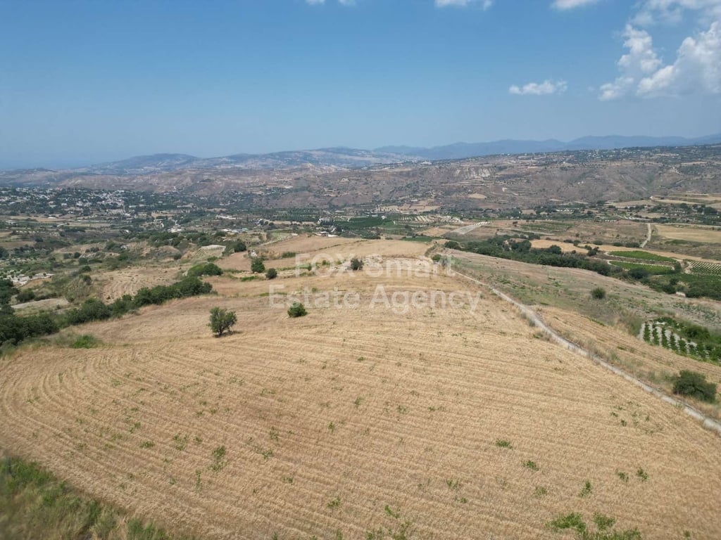 Land in Paphos - Image 3
