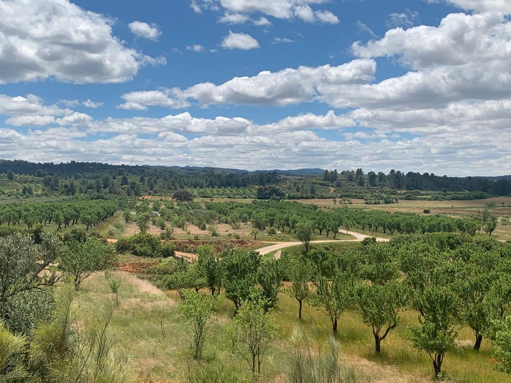 Land in Ayora