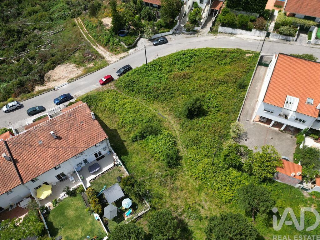 Land in Leiria - Image 2