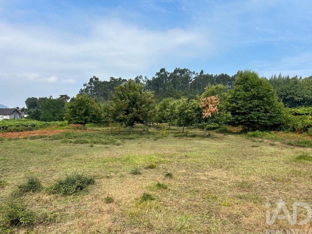 Farm, Ranch or Equestrian in Fornelos - Image 3