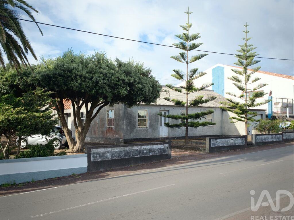 House in Madalena - Image 3
