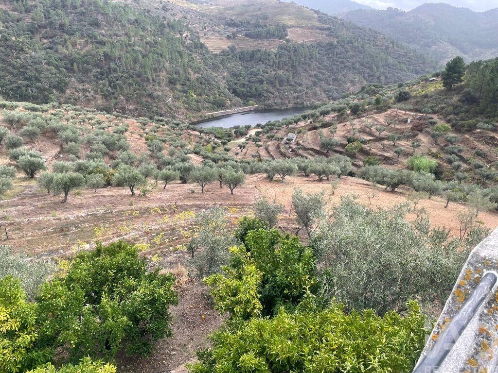 Farm, Ranch or Equestrian in Amieiro - Image 3