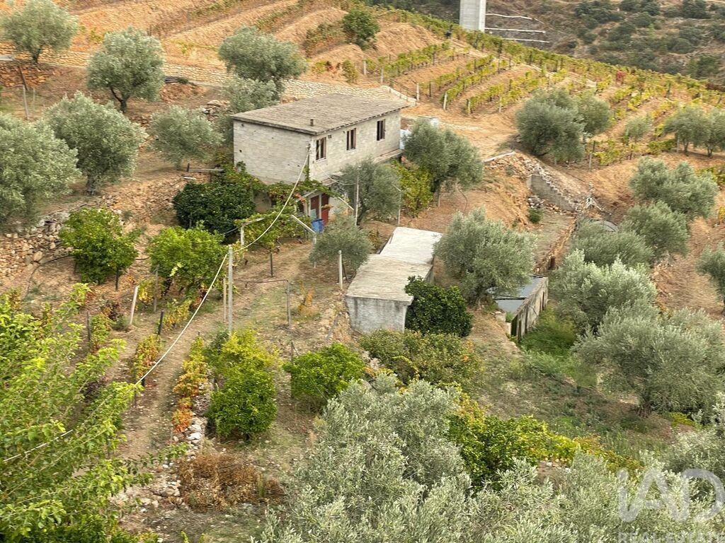 Farm, Ranch or Equestrian in Amieiro