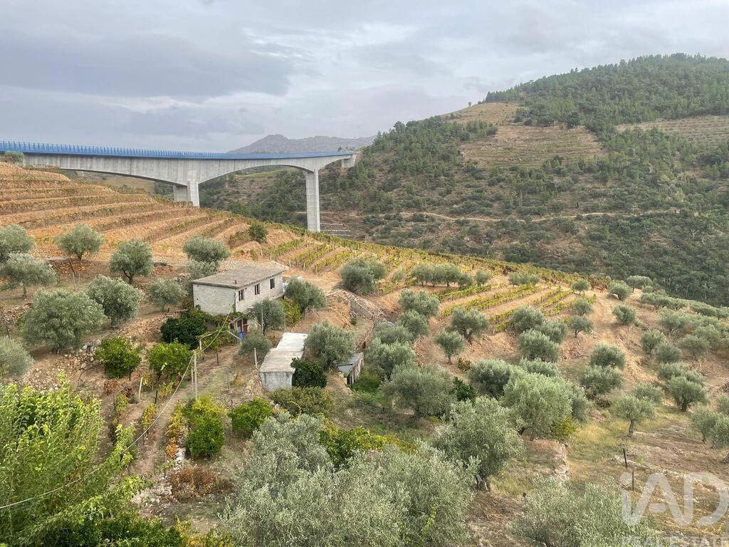 Farm, Ranch or Equestrian in Amieiro - Image 2