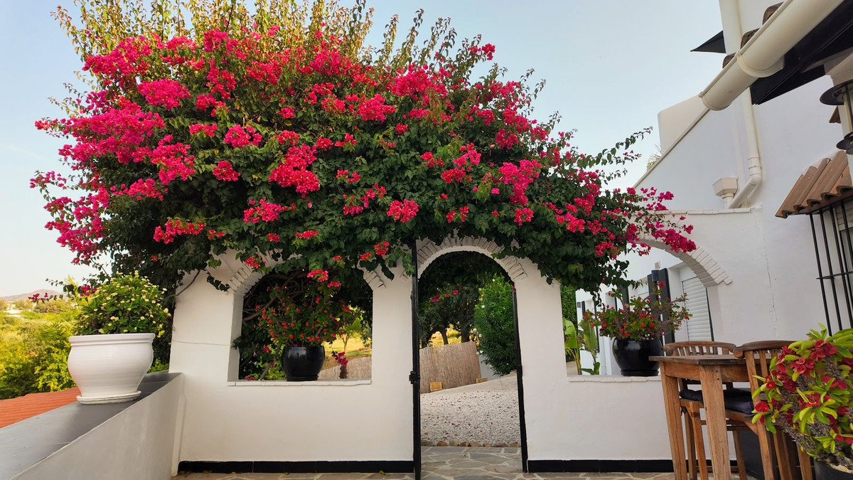 Apartment in Alhaurin el Grande - Image 3