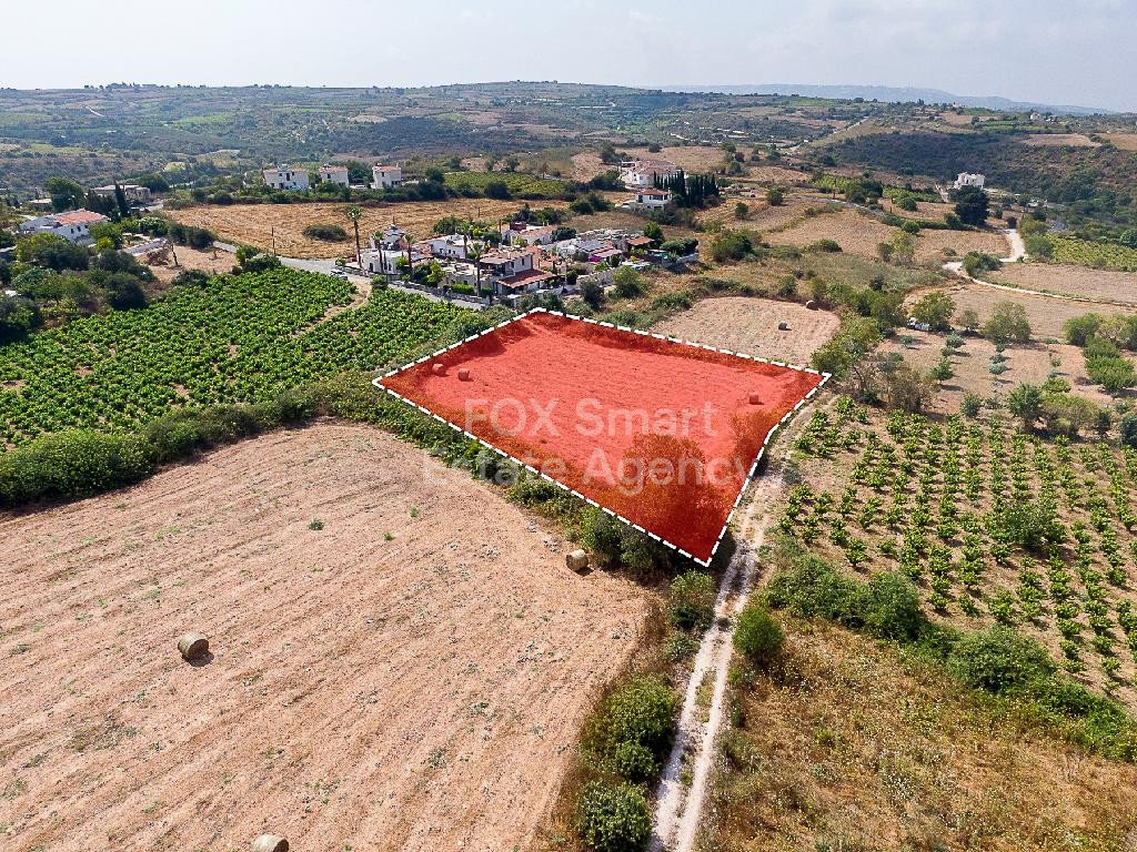 Land in Kathikas - Image 2