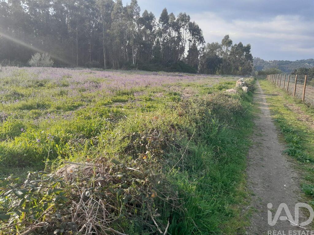 Land in Requiao