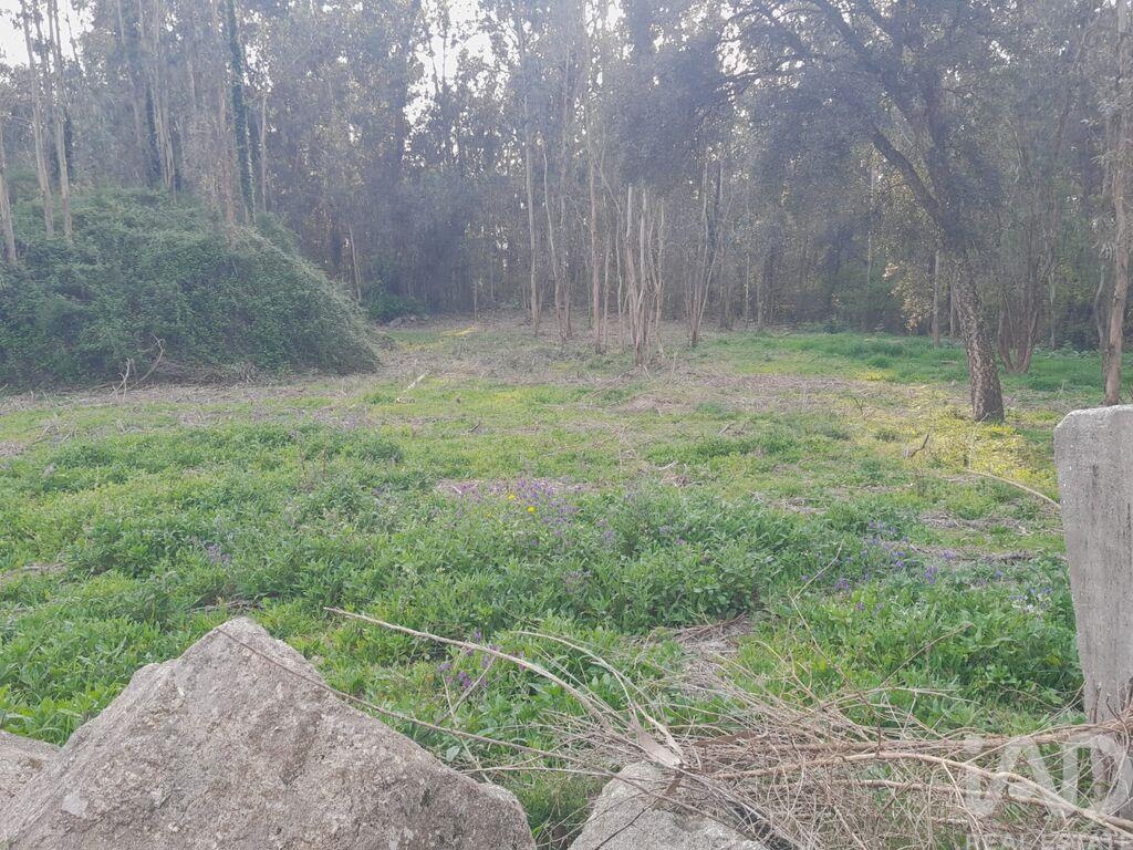 Land in Requiao - Image 2