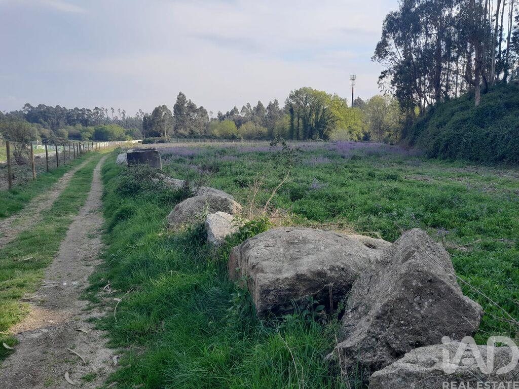Land in Requiao - Image 3