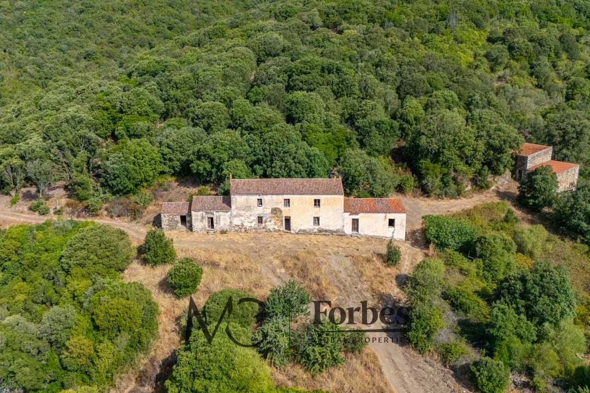 House in Viddalba - Image 2