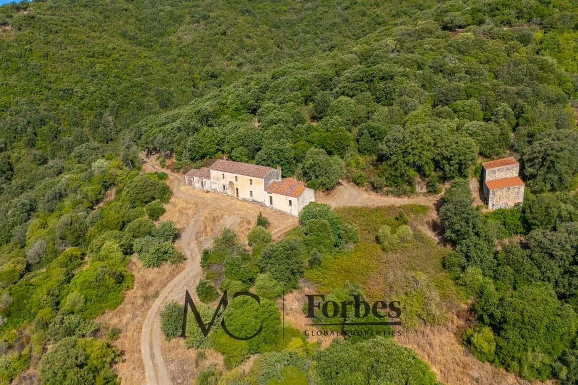 House in Viddalba