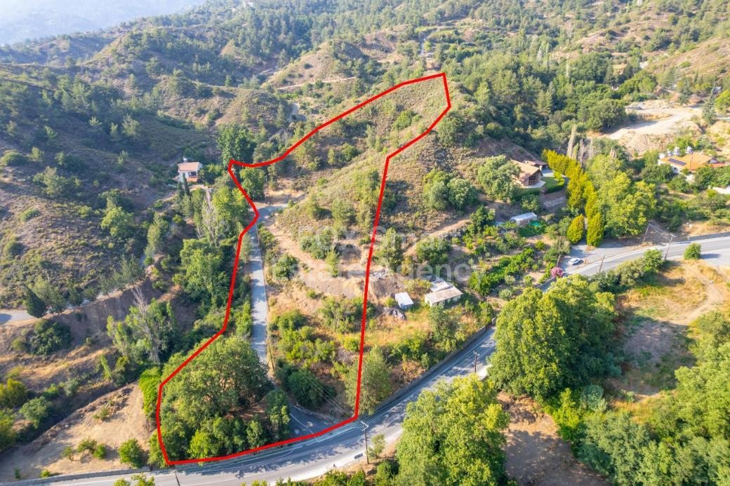 Land in Kato Platres - Image 3