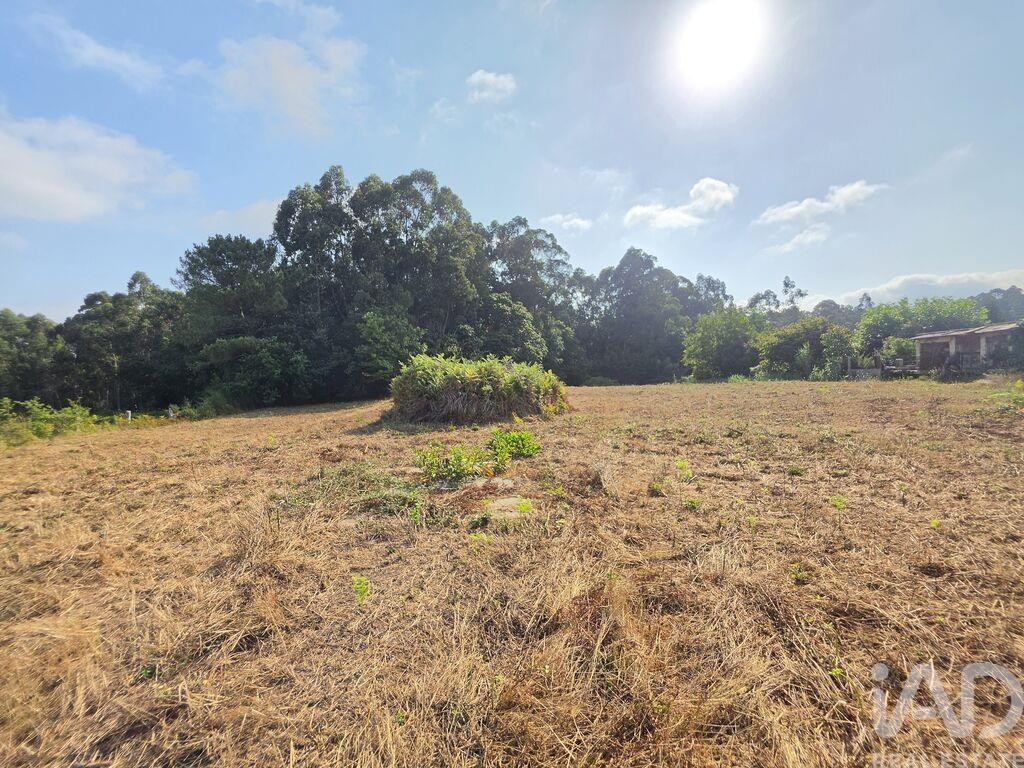 Land in Reboreda - Image 2