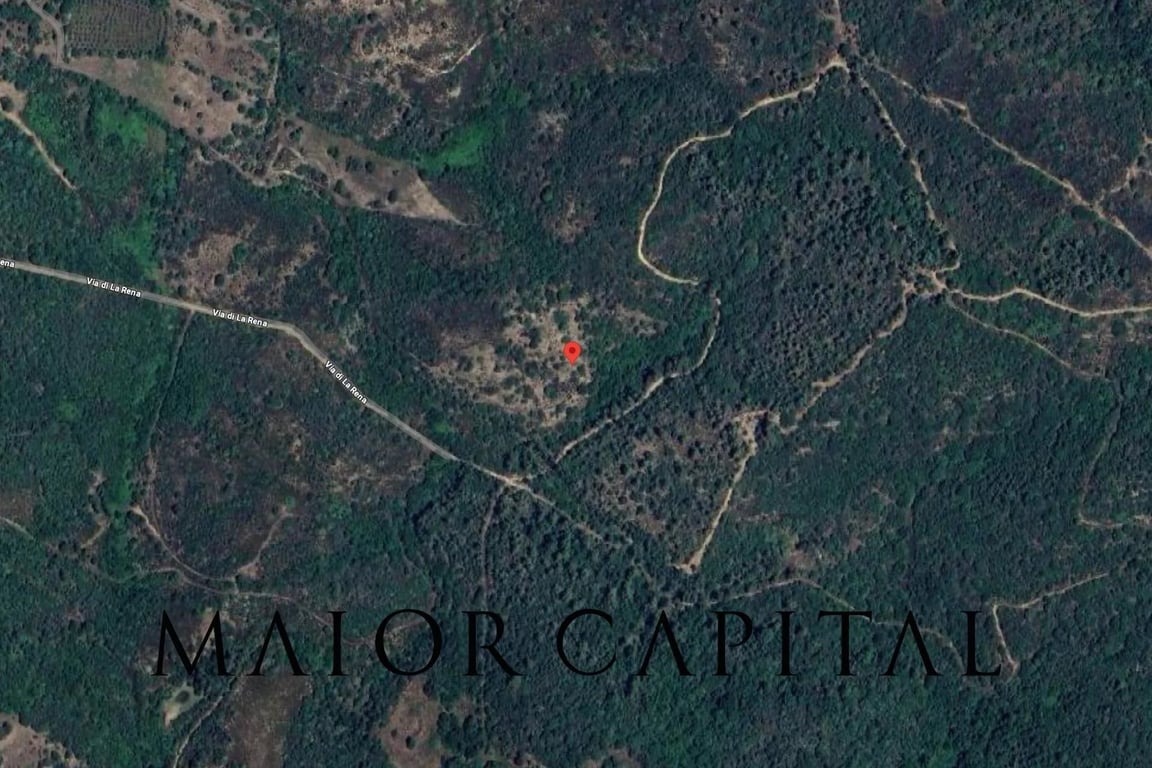 Land in Buddittogliu Straulas - Image 2