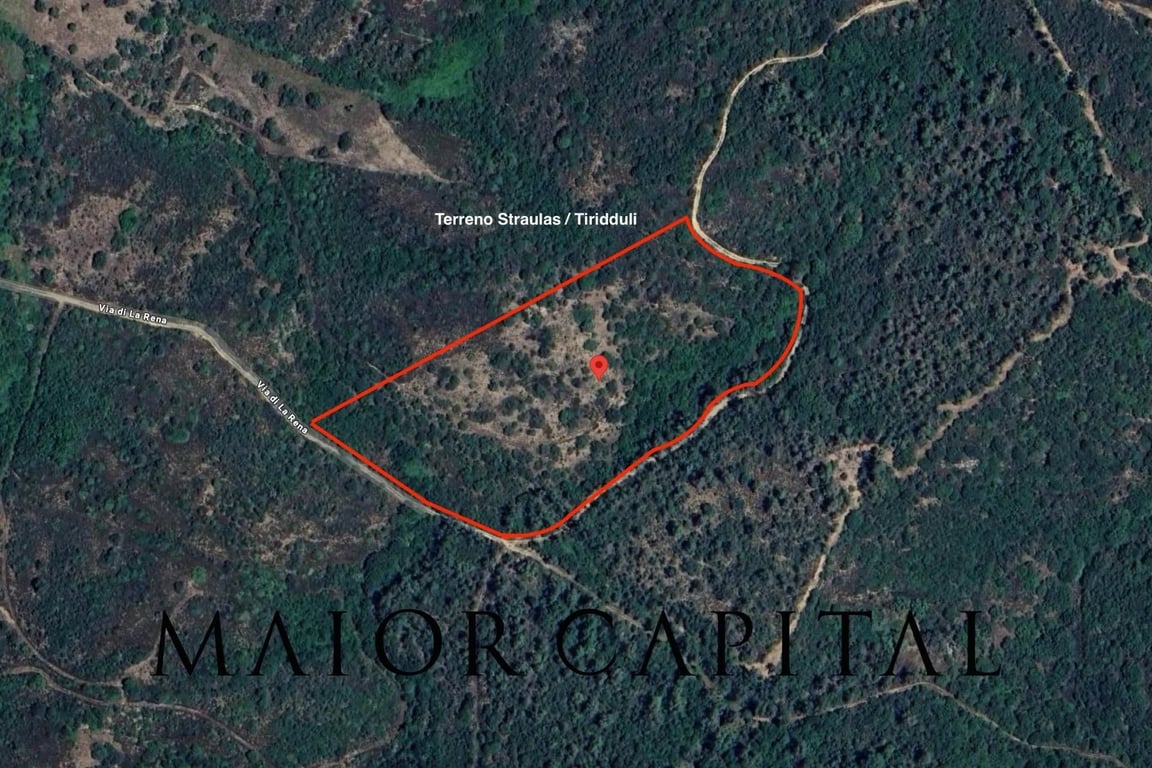 Land in Buddittogliu Straulas