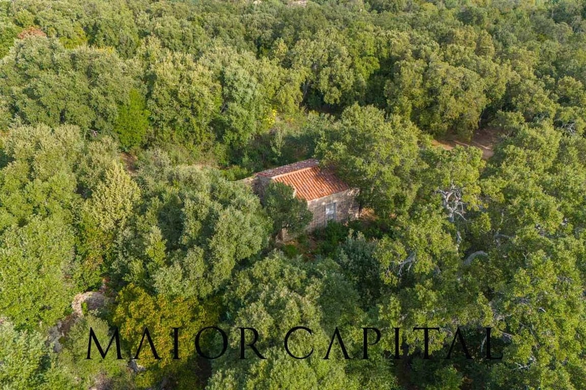 Land in Calangianus