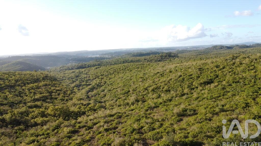 Land in Ribeira do Farrio - Image 2