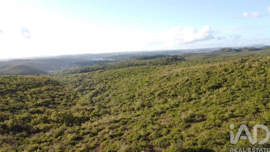 Land in Ribeira do Farrio