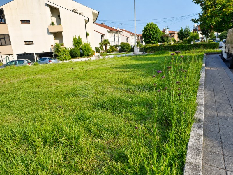 Land in Baltar - Image 3