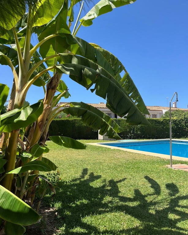 Apartment in Riviera del Sol - Image 2