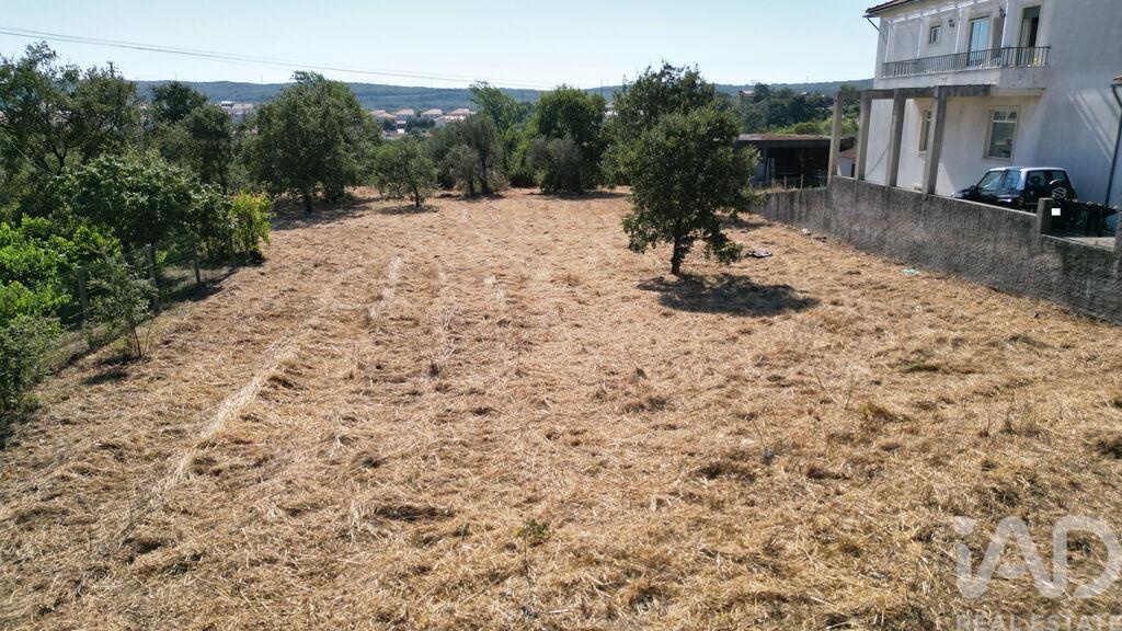 Land in Avelar - Image 3