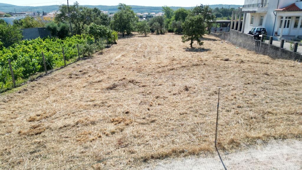 Land in Avelar - Image 2