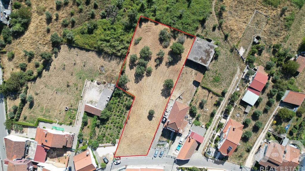 Land in Avelar