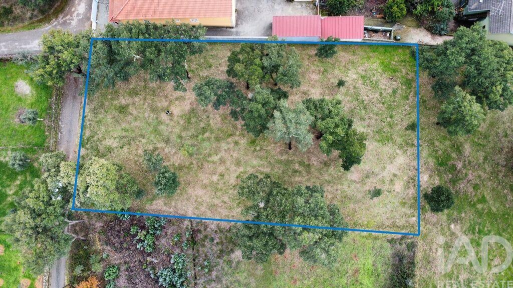Land in Figueiro Dos Vinhos - Image 3