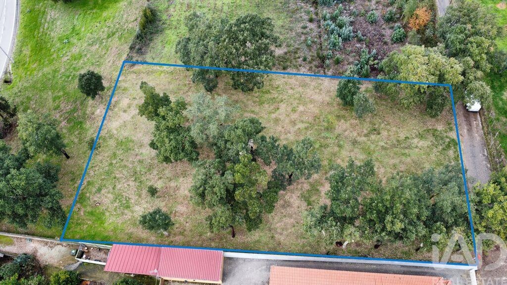 Land in Figueiro Dos Vinhos