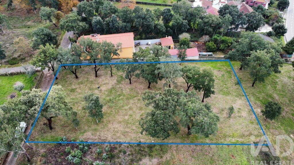 Land in Figueiro Dos Vinhos - Image 2