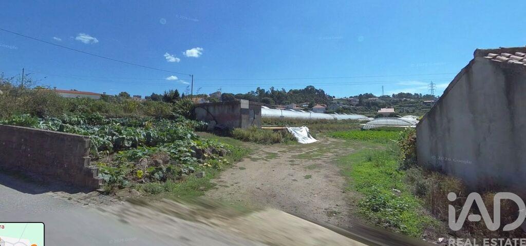 Land in Antas