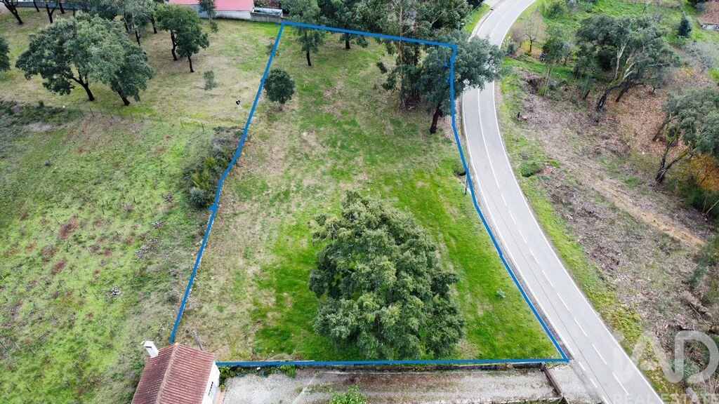 Land in Figueiro Dos Vinhos - Image 2