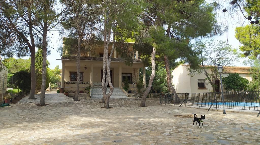 Villa in Torrevieja