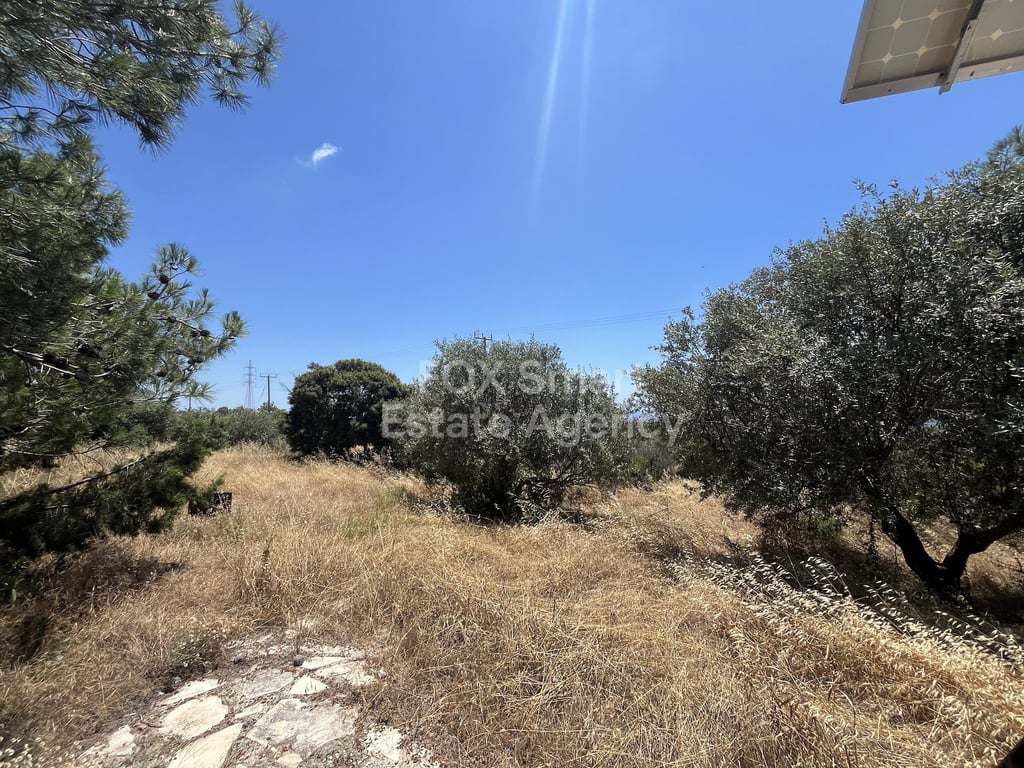 Land in Sotira Lemesou - Image 2
