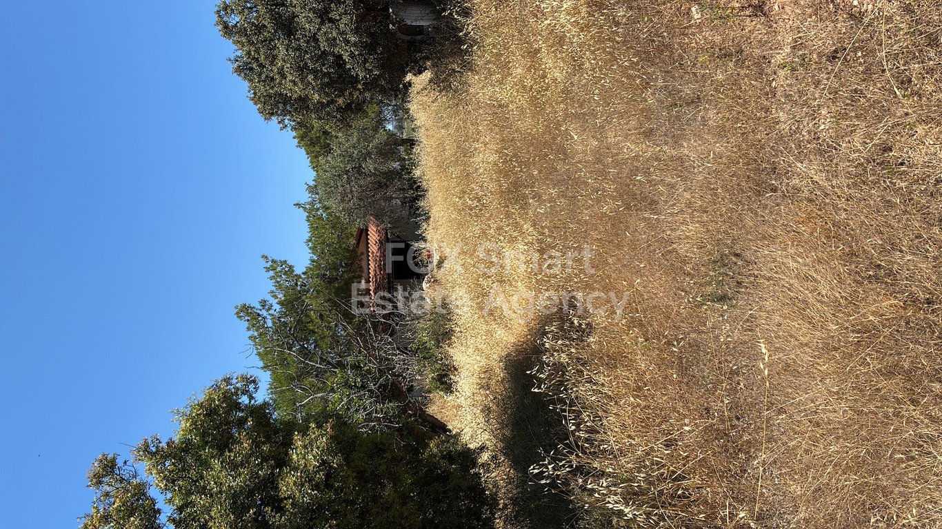 Land in Sotira Lemesou - Image 3