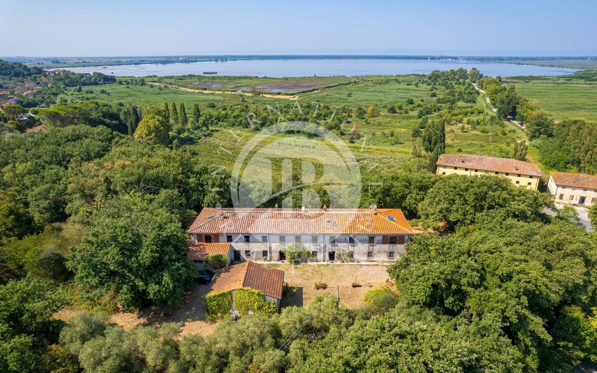 Villa in Massaciuccoli