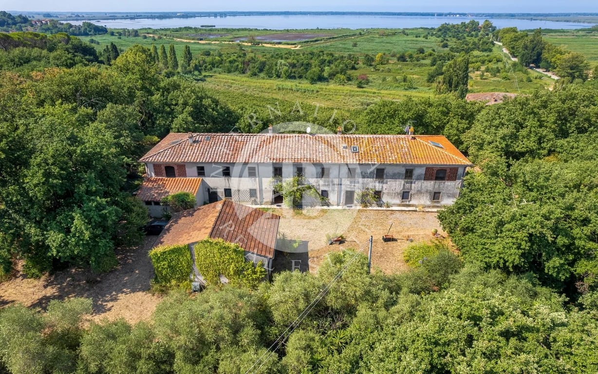 Villa in Massaciuccoli - Image 2