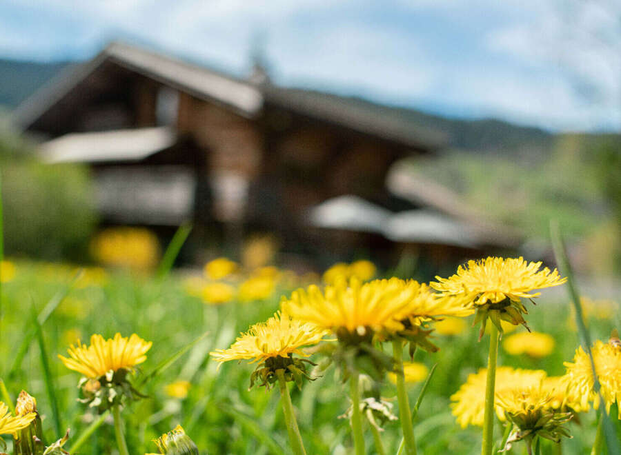 Chalet in Megeve